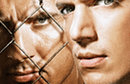 Prison Break vignette