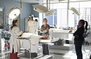 body of proof vignette