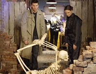 squelette-booth-et-brennan (profil)