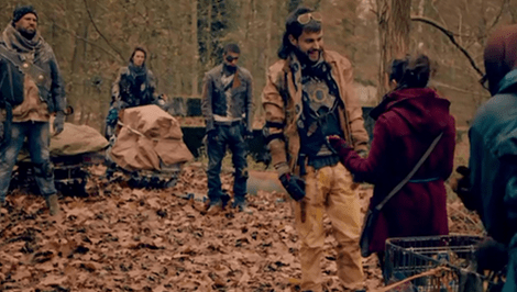 cockroaches article 1a