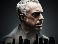 bosch fiche série 2