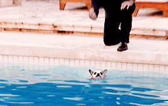 Modern Family Stella