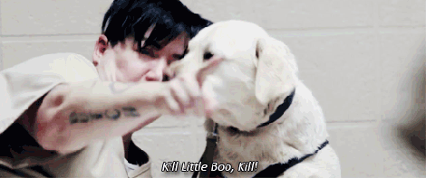 tumblr_mr7yr9aeMf1r3fv6wo4_500