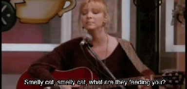 Smelly cat
